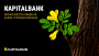  Kapitalbank investitsiyalari – O‘zbekiston yoshlari kelajagiga sarmoya