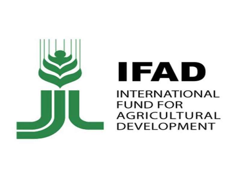Международный фонд сельскохозяйственного развития.jpg